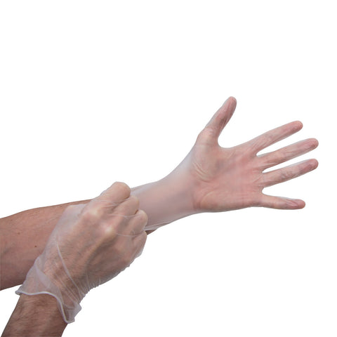 Transparent Gloves - Direct Import