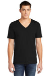 American Apparel  Fine Jersey V-Neck T-Shirt 2456W